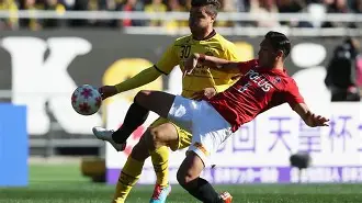 柏太阳神主力阵容